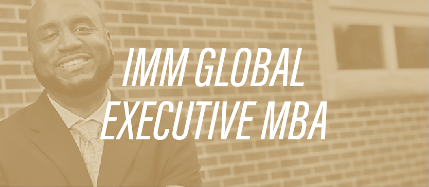 IMM Global Executive MBA