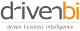 driven business intelligence logo